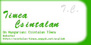 timea csintalan business card